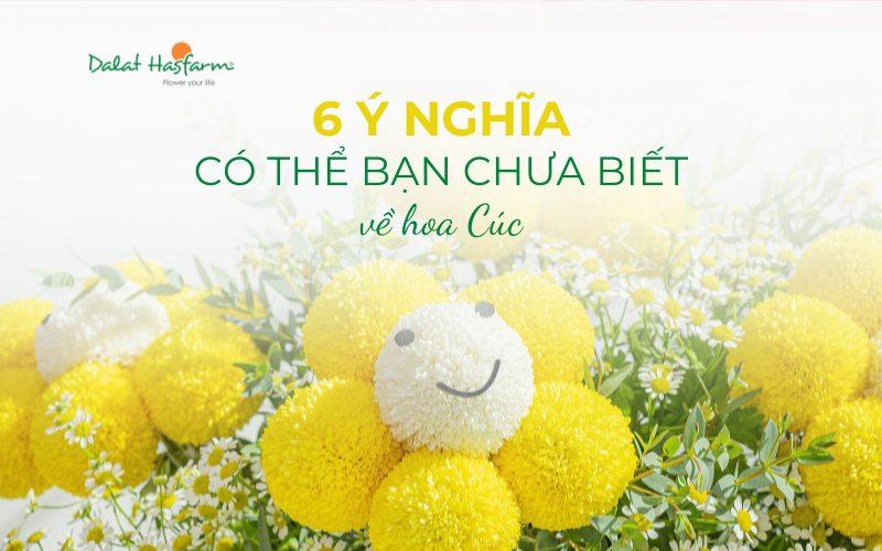 mot nguoi dang cham soc chon lua nhung bong hoa cuc mau don tuoi roi tai cho hoa